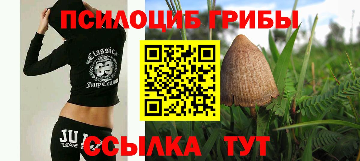 Псилоцибиновые грибы GOLDEN TEACHER Краснокаменск