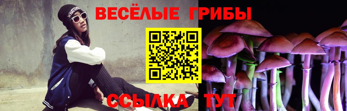 Псилоцибиновые грибы Magic Shrooms  закладки  Вход с VPN  Краснокаменск  Псилоцибиновые грибы MAGIC MUSHROOMS 